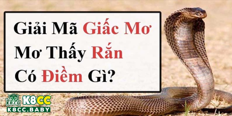 Ý nghĩa điềm báo nằm mơ thấy rắn hổ mang